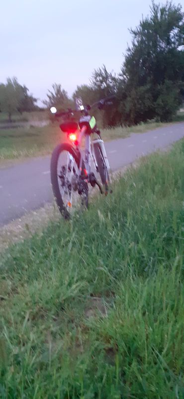 Strada Constantin Silvestri 11, Timișoara to Intrarea Plantelor 5, Timișoara