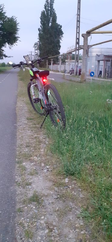 Strada Constantin Silvestri 11, Timișoara to Intrarea Plantelor 5, Timișoara