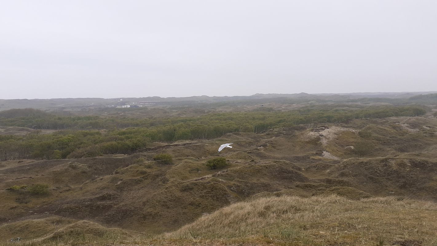 Gartenstraße 15, Norderney nach Südstraße 23, Norderney