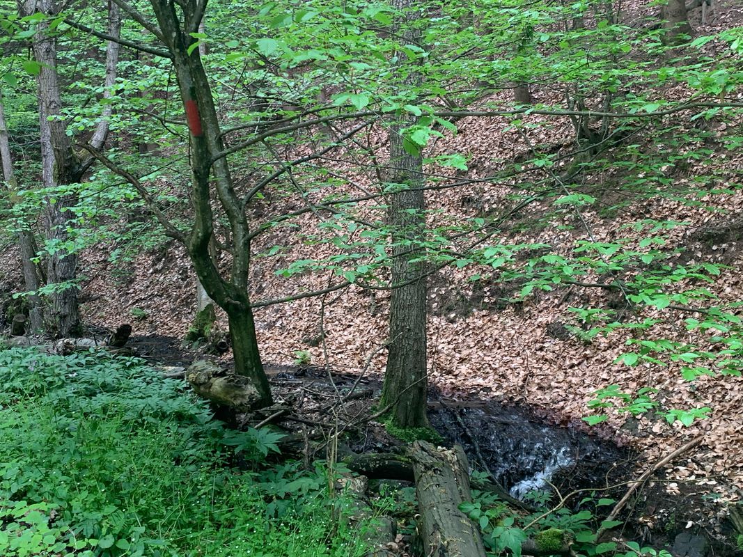 creases sura, dealul corbului, valea Sibișel, culmile dura,Măgura, topolnita, dealul tei conop