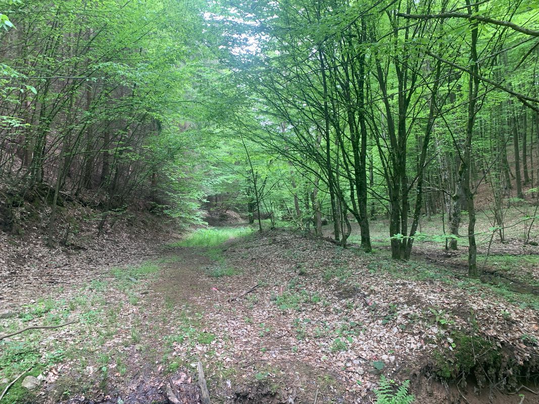 creases sura, dealul corbului, valea Sibișel, culmile dura,Măgura, topolnita, dealul tei conop