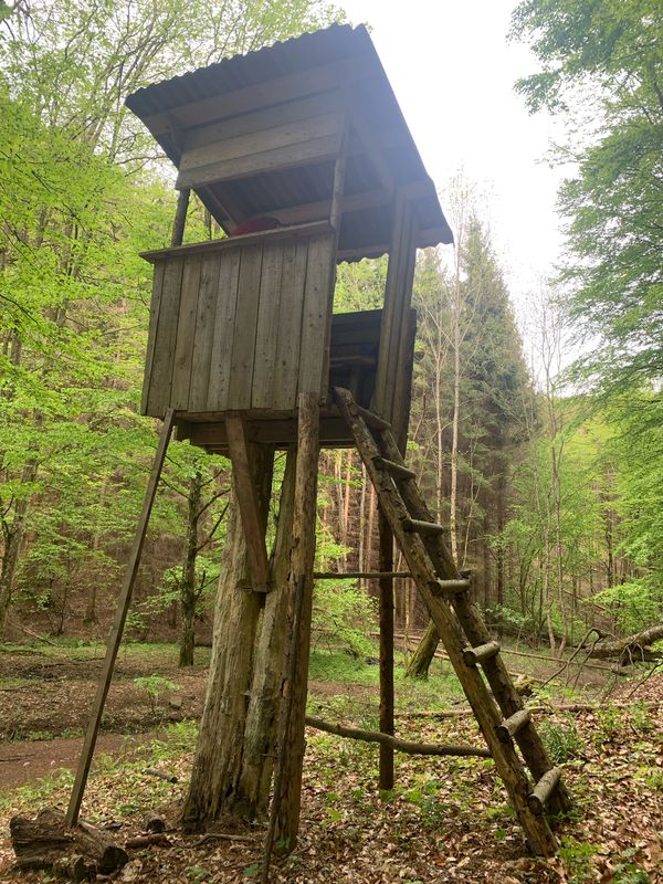 creases sura, dealul corbului, valea Sibișel, culmile dura,Măgura, topolnita, dealul tei conop