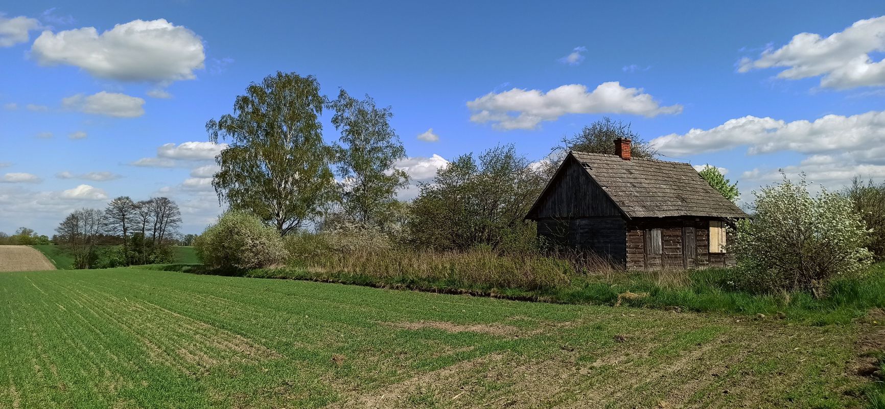 Ostrołęka - Ostrów Mazowiecka - Małkinia