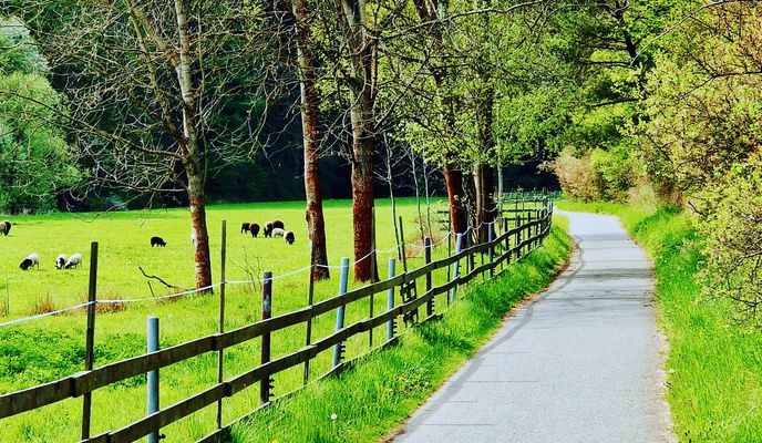 Photo 1 of the Bikemap route "Praha, Podolí - Beroun - Křivoklát - Rakovník"