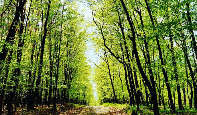 Photo 2 of the Bikemap route "Praha, Podolí - Beroun - Křivoklát - Rakovník"