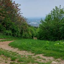 Josef Schöffel-Straße 9, Gumpoldskirchen do Rotes Mäuerl 270, Gumpoldskirchen