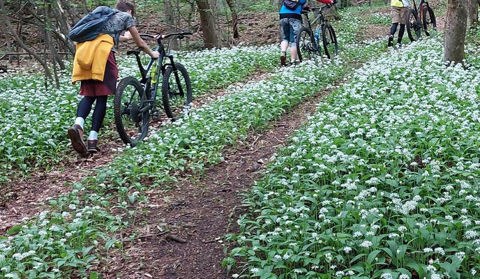 Foto 2 del percorso Bikemap "Josef Schöffel-Straße 9, Gumpoldskirchen do Rotes Mäuerl 270, Gumpoldskirchen"