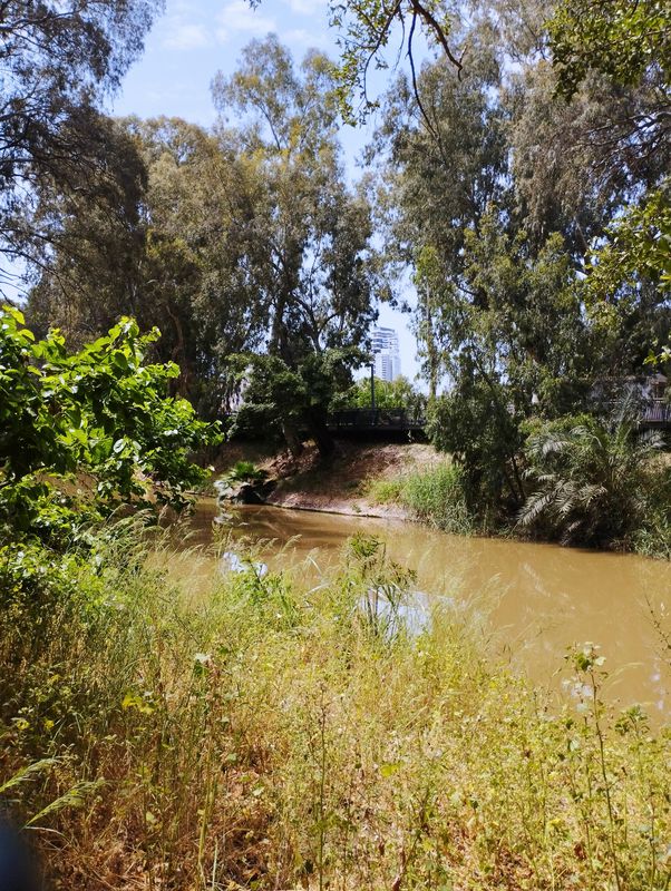 От Yarkon Cemetery HaGe'ula Gate, Petah Tikva до Harzfeld Street 22, Tel Aviv-Yafo