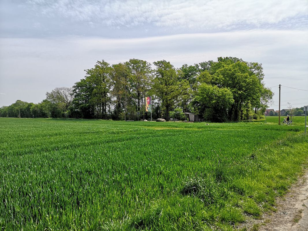 Schwarme - Martfeld - Mitte Niederschsens - Bruchhausen-Vilsen - Schwarme