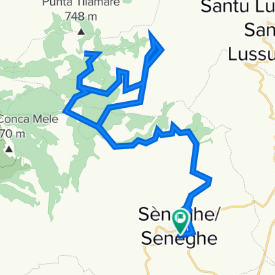 bia josso elighes da seneghe