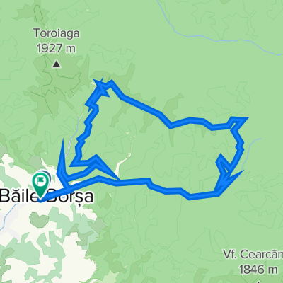 Baile Borsa , Saua Lucaceasa , Saua Galiu