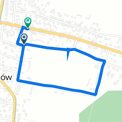 Z Kraśnika - Zakopanego.