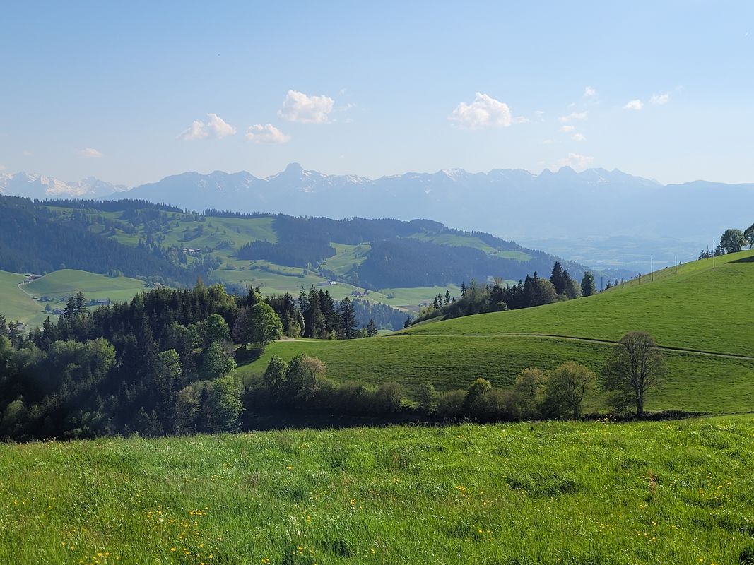 Inselistrasse 5A, Konolfingen nach Libellenweg 3, Konolfingen