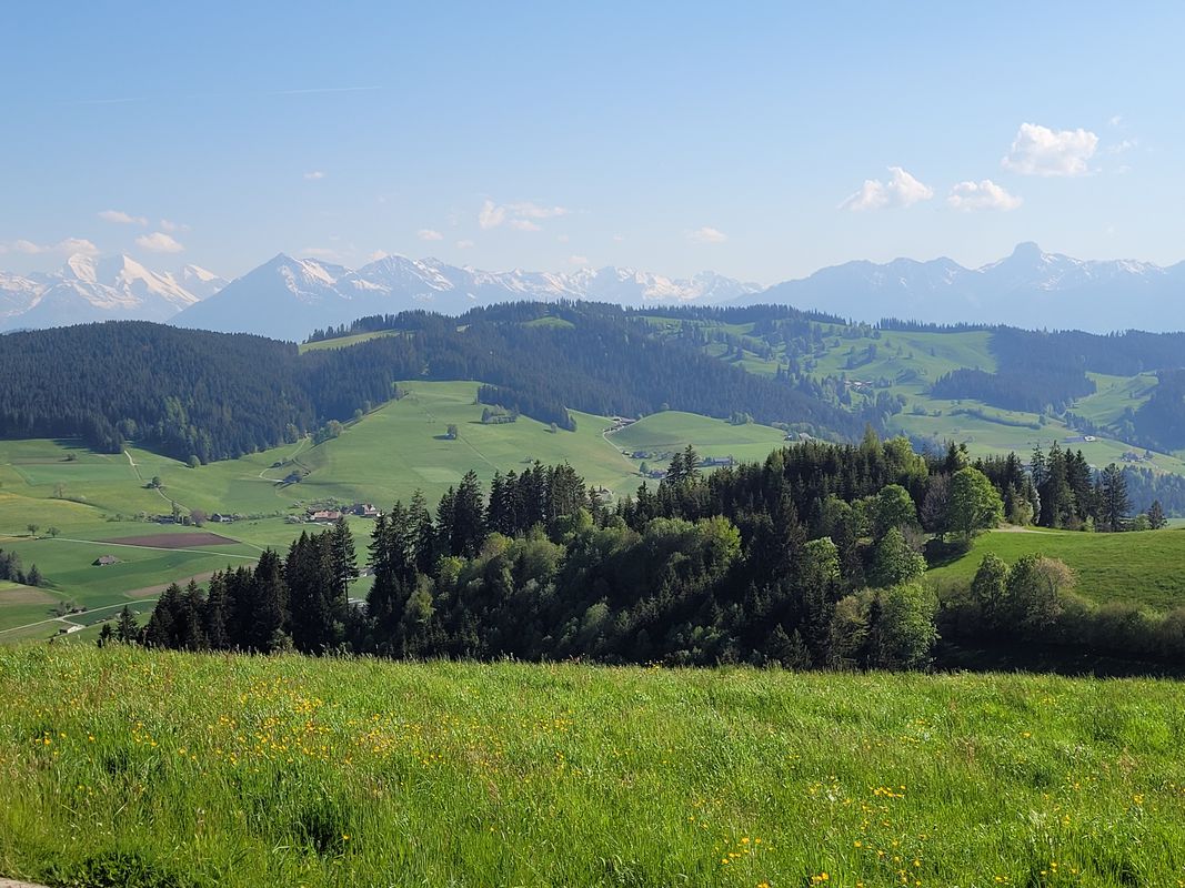 Inselistrasse 5A, Konolfingen nach Libellenweg 3, Konolfingen