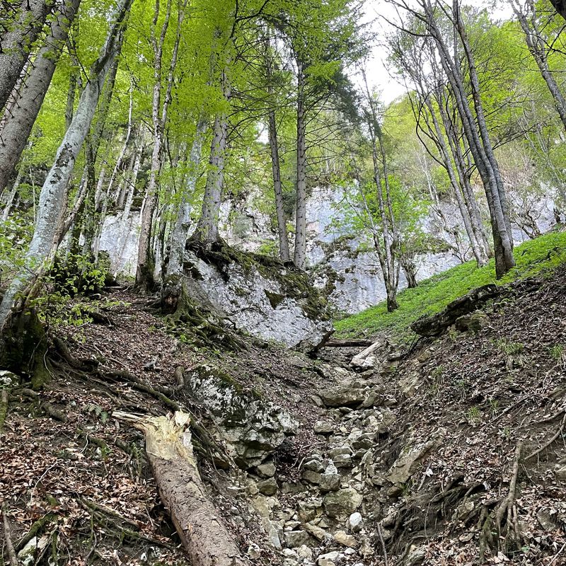 Ebnit-Dornbirn