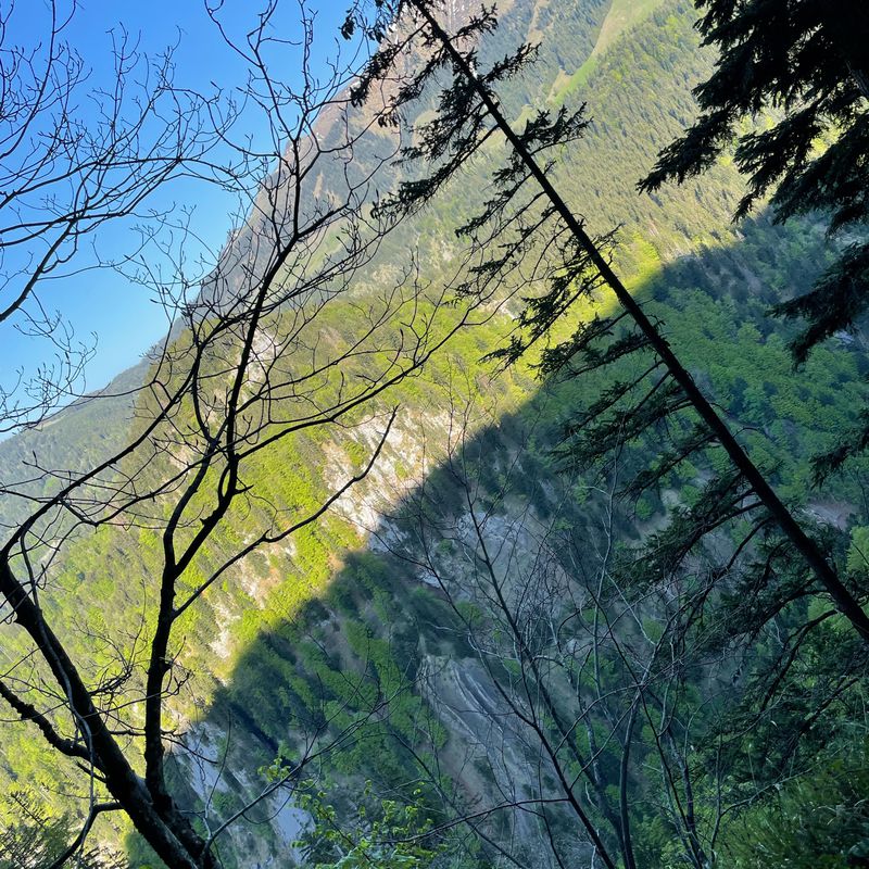 Ebnit-Dornbirn