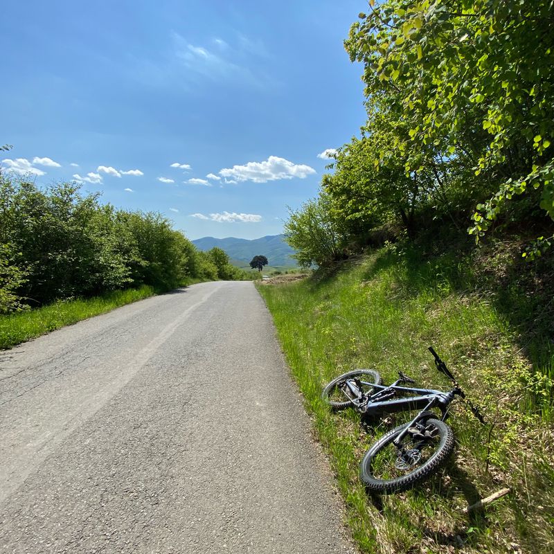 stina aidan-sutu-agris-iara-plaiuri