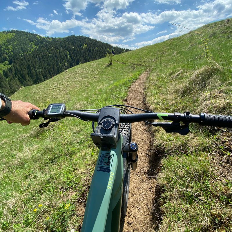 stina aidan-sutu-agris-iara-plaiuri