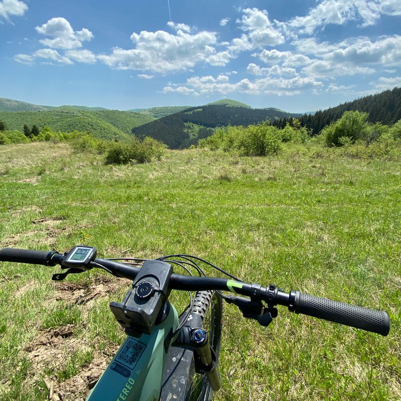 stina aidan-sutu-agris-iara-plaiuri