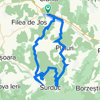 stina aidan-sutu-agris-iara-plaiuri