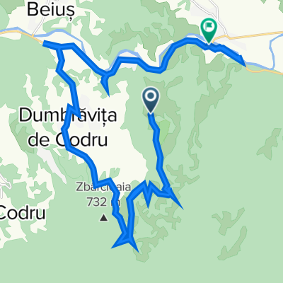 Bujorul salbaticȘoimi  Uileacu de Beius