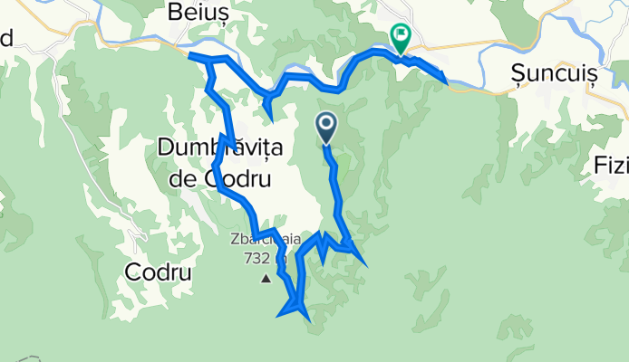 Bujorul salbaticȘoimi  Uileacu de Beius
