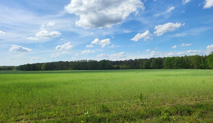 Foto 1 der Bikemap-Route "Kleine Runde nach Feierabend.."