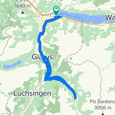 Glarus-Sud-short