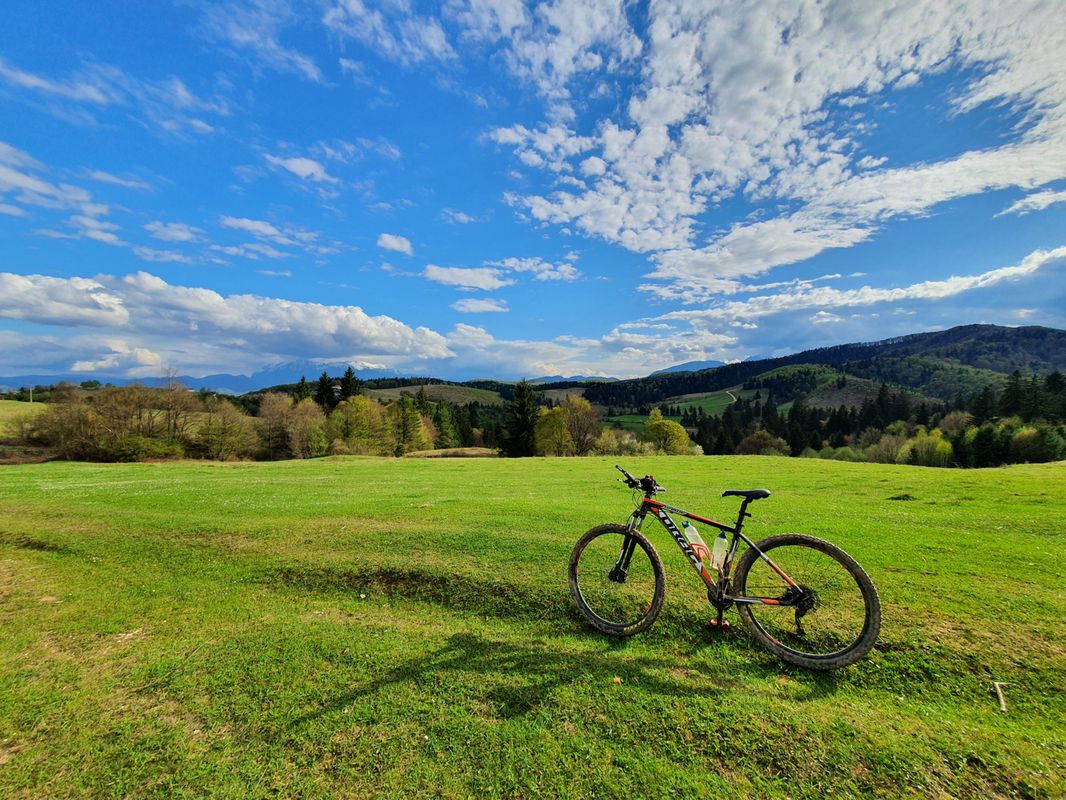 Codlea MTB 54 km Codlea - Maial - Paltin - Poiana Marului - Holbav - Codlea (ADE 71)