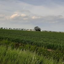 Theodor-Bötel-Weg 15, Hildesheim nach Neunäckervörde 2, Hildesheim