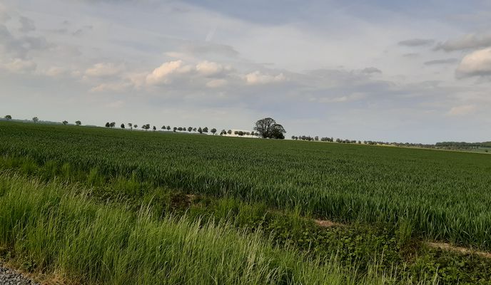 Photo 1 de l’itinéraire Bikemap « Theodor-Bötel-Weg 15, Hildesheim nach Neunäckervörde 2, Hildesheim »