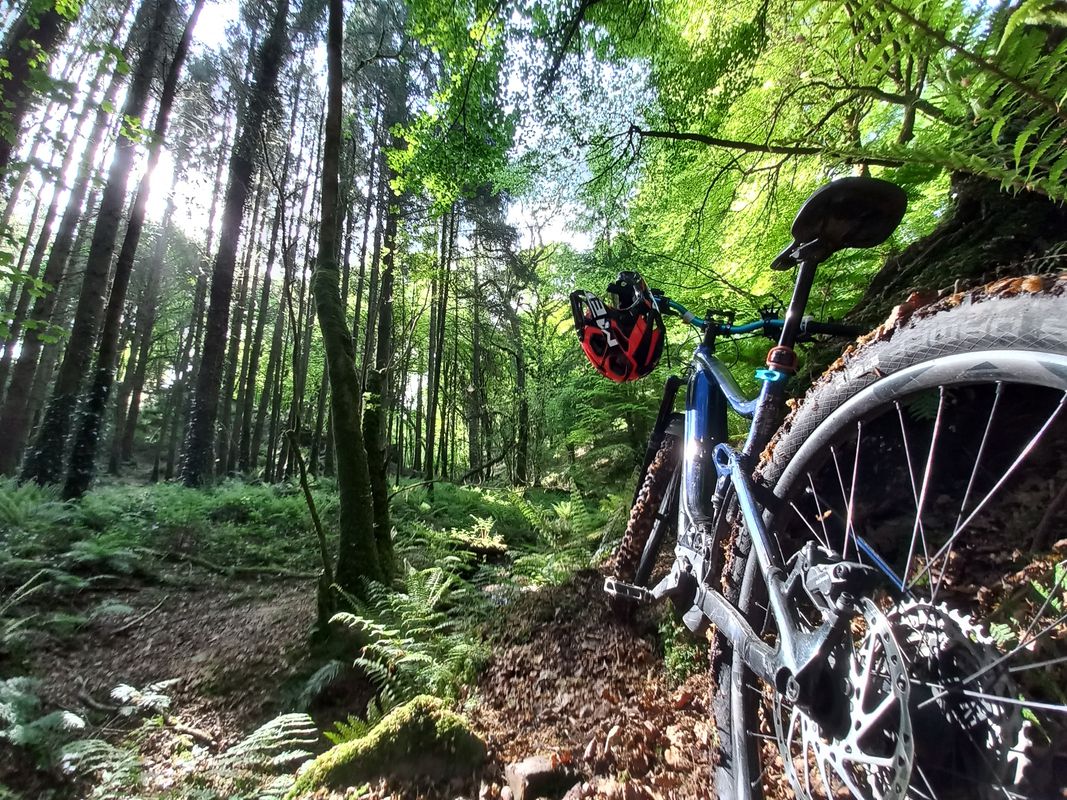 Pembroke Wood 2, Passage West to Pembroke Wood 2, Passage West