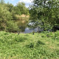 Thie 5, Hannover nach Peiner Straße 3, Hannover