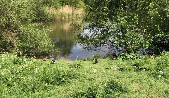 Foto 1 der Bikemap-Route "Thie 5, Hannover nach Peiner Straße 3, Hannover" Foto 1 der Bikemap-Route "Thie 5, Hannover nach Peiner Straße 3, Hannover"