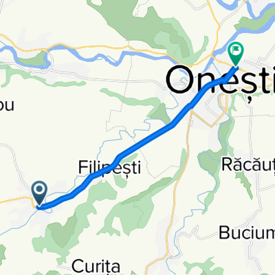 DN11 31, Bogdănești to Bulevardul Republicii 68, Onești
