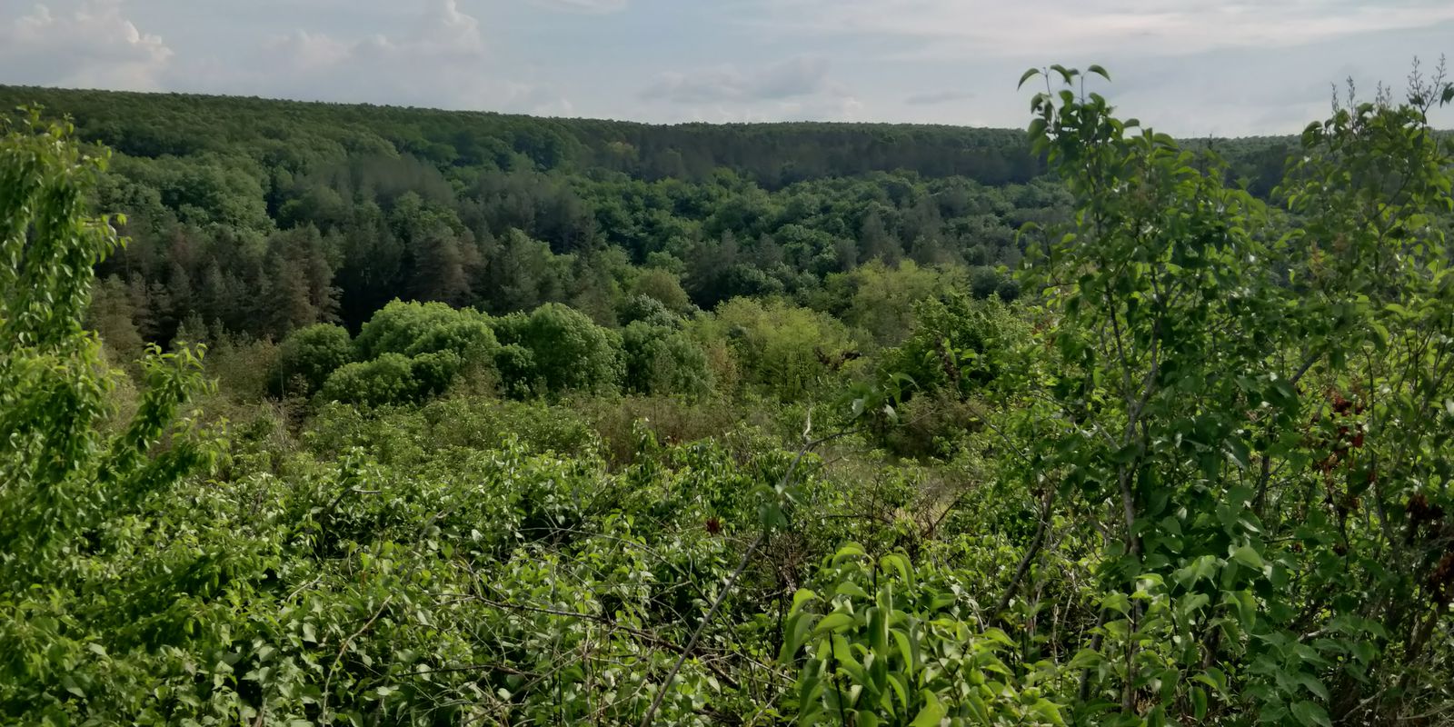 Плевен - Къшин - Брестовец - Хижа Среброструй - Над Язовирите - Кайлъка - Плевен