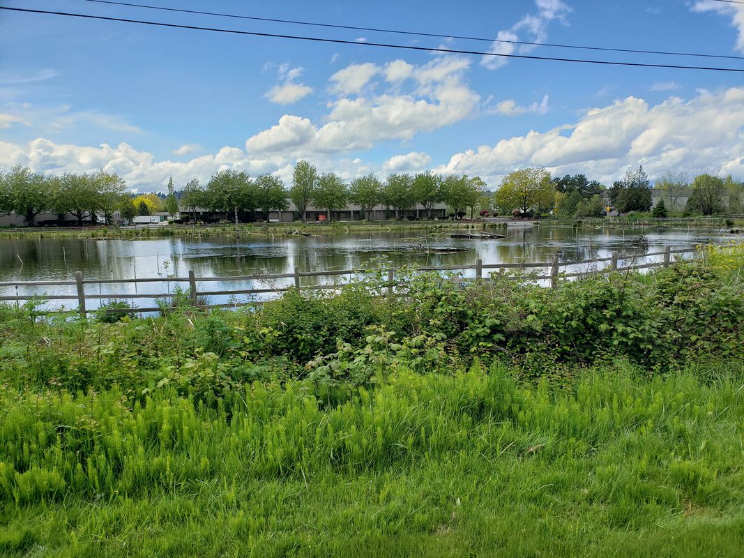 Starfire Way 14800, Tukwila to 62nd Avenue South 25331, Kent