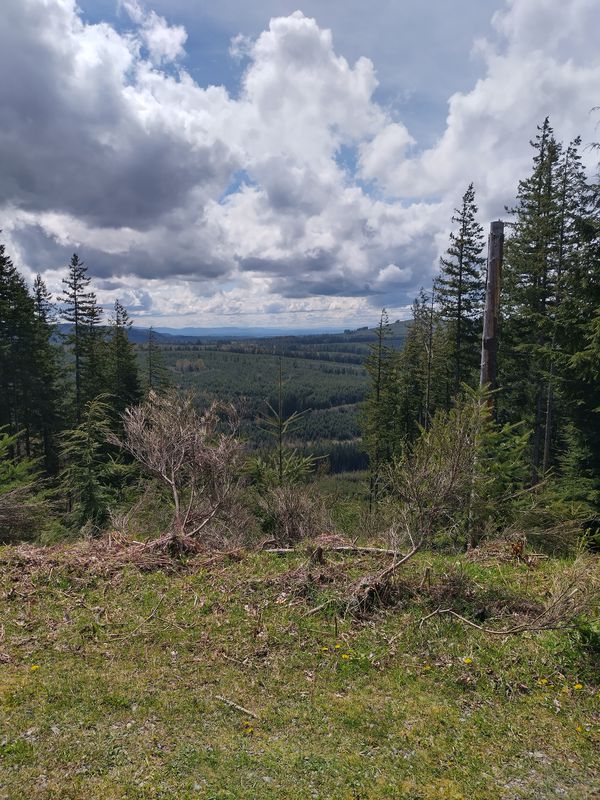 Cent. Pk, Orting to Fairfax &amp; back