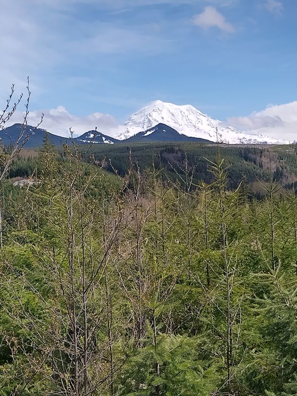 Cent. Pk, Orting to Fairfax &amp; back