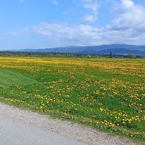 Guty 3b, Zakopane do Trzech Koron 34a, Sromowce Niżne