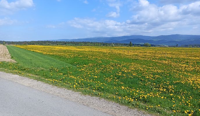 Photo 1 of the Bikemap route "Guty 3b, Zakopane do Trzech Koron 34a, Sromowce Niżne" Photo 1 of the Bikemap route "Guty 3b, Zakopane do Trzech Koron 34a, Sromowce Niżne"