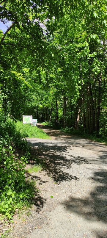 Gemütliche Route in Tauberbischofsheim