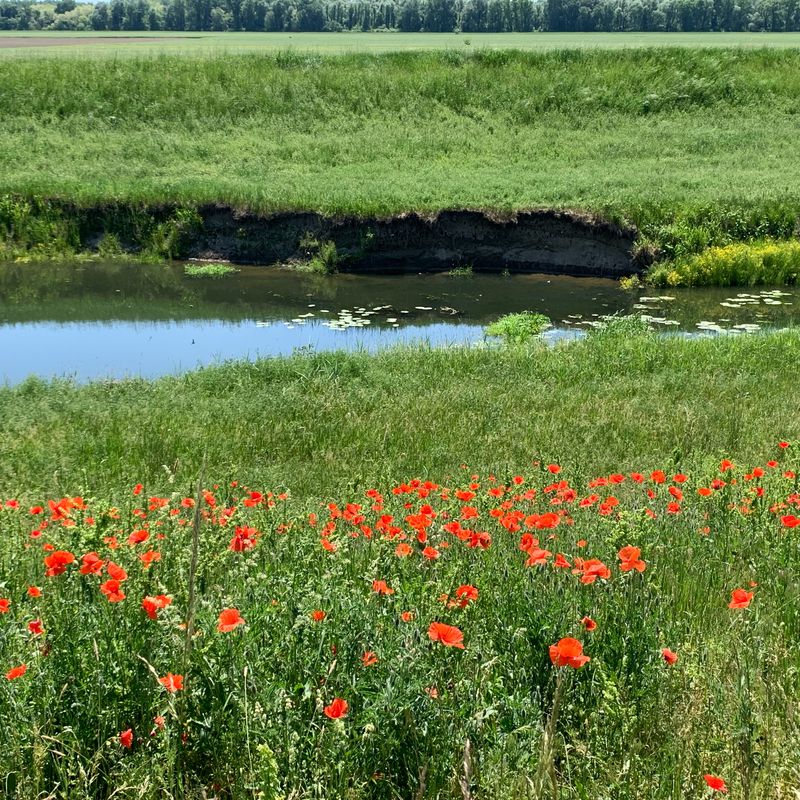 Drávaszabolcs to Dráva part, Drávaszabolcs