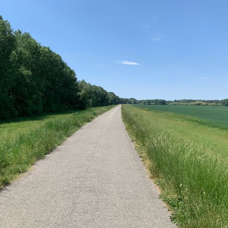 Drávaszabolcs to Dráva part, Drávaszabolcs