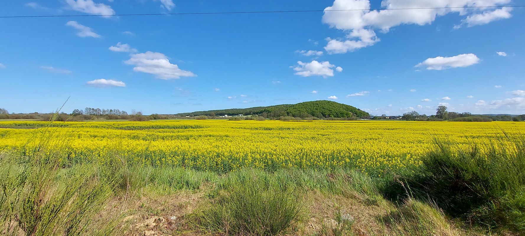 Rumia - Puck - Rumia