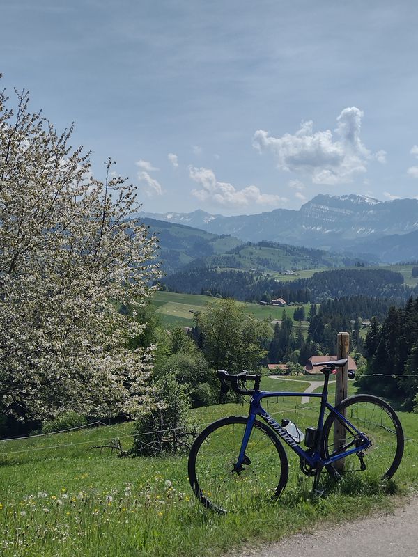 Chuderhüsi-Moosegg-Blapbach Rundtour