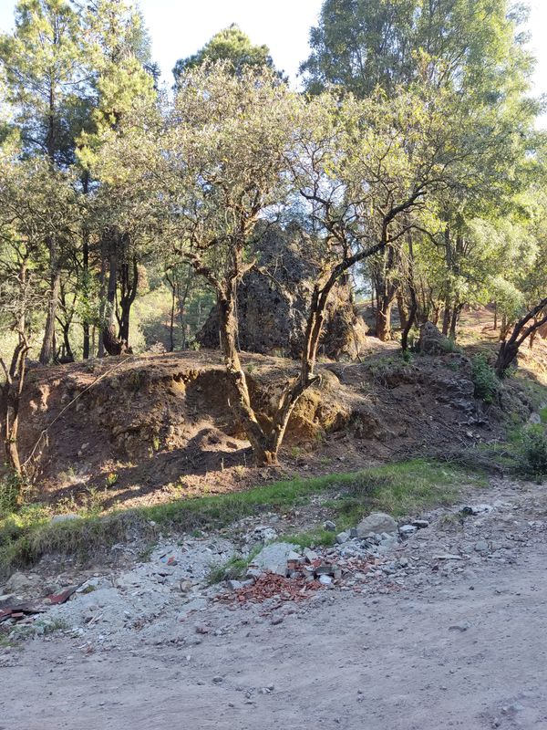 De Ocoyoacac-Santiago Tianguistenco 10, Pedregal de Guadalupe Hidalgo a Avenida Miguel Hidalgo 102, San Miguel Ameyalco