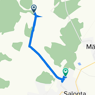 Drum fără nume to Strada Bercsenyi Miklos 15, Salonta