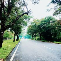 Irwin Road, Mysuru to Sayyaji Rao Road 9A, Mysuru