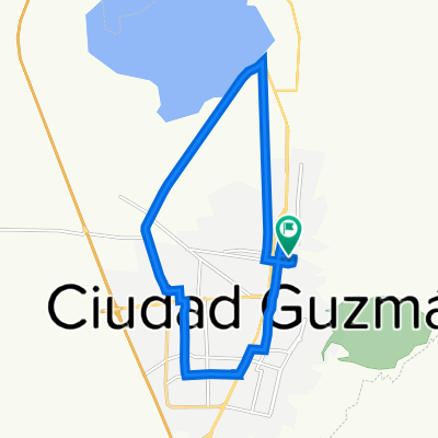 De Darío Vargas 133, Ciudad Guzman a Darío Vargas 133, Ciudad Guzman